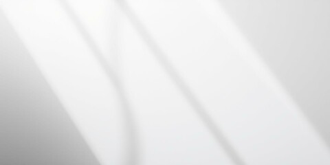 Abstract White Background Light and Shadow Overlay Texture