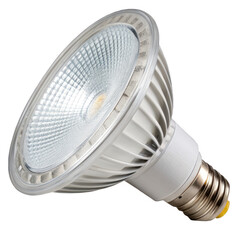 Naklejka premium High-Quality Photorealistic Image of a PAR38 LED Floodlight Bulb