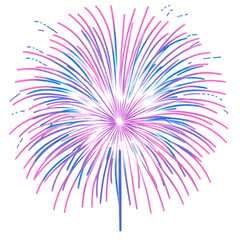 Pink Blue Purple Fireworks Display Against Black Background
