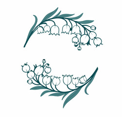 Circle leaves, lily, valley plant and flower