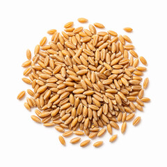 Obraz premium Pile of wheat grains isolated on white background. Top view.