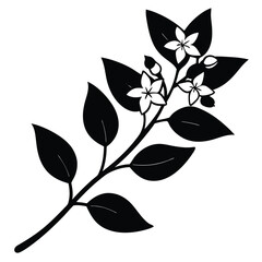 Jasmine Flower Silhouette Vector – Botanical Bloom and Floral Illustration