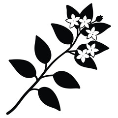 Jasmine Flower Silhouette Vector &ndash; Botanical Bloom and Floral Illustration
