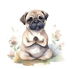 Cute watercolor pug sits on a white background