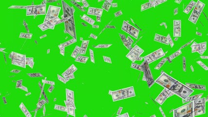 Banknotes money flying and dollar bills falling top to bottom like rain on green background. It's like a fountain that rains money. Slow motion cash storm, Money rain loop. Money rains from the sky.