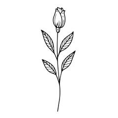 Minimalist Dried Flower Sketches – Set 02