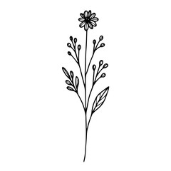 Minimalist Dried Flower Sketches – Set 02