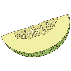 Melon Illustration