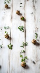 Sprouting Potatoes and Fresh Herbs on Rustic White Wood