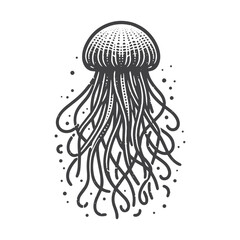 Vintage Hand-Drawn Jellyfish Close-Up Illustration – Ocean Creature Engraved Style Vector for T-Shirts, Posters, Stickers, and Marine Apparel