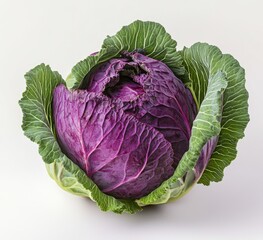 Obraz premium Vibrant purple cabbage head with fresh green leaves