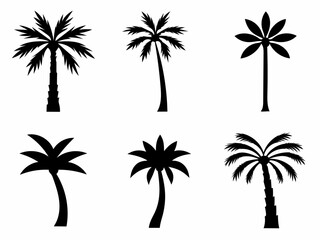 Stylish Palm Tree Silhouettes Vector Illustration.