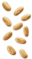Obraz premium Scattered Light Beige Beans On Transparent Background