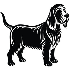 Basset fauve de bretagne