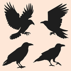 Silhouette Birds Minimalist Vector Illustration of Birds in Flight.