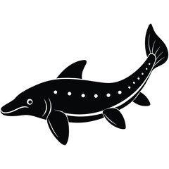 beluga sturgeon  vector