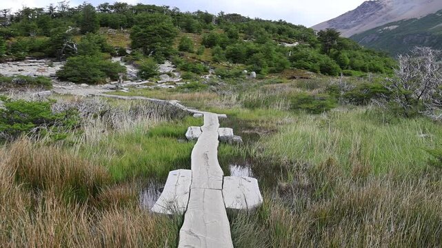 Walking movement on a bridge made with logs in a flooded area in Los Glaciares National Park