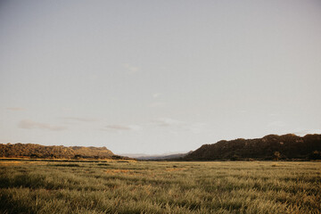 landscape with peacefully view