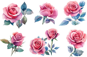 Obraz premium set of roses vector illustration