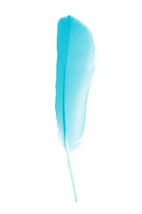 feather pastel color blue isolated on white background