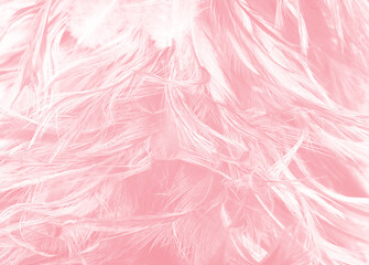 Beautiful soft pink feather pattern texture background