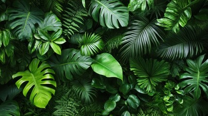 Lush tapestry of tropical foliage: a vibrant botanical garden teeming with verdant life