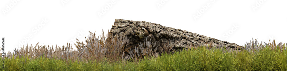 Fototapete timber on the evergreen grass field with isolated on transparent background - png file, 3d rendering