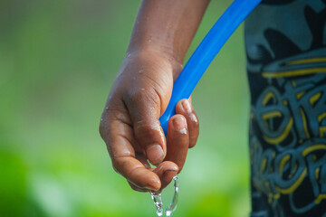 A farmer’s hands hold a water hose, its flow directed to nourish the vegetable seedling nursery