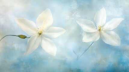Delicate White Flowers on Soft Blue Background in Serene Composition