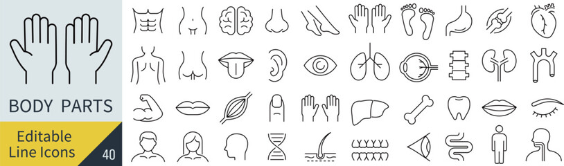 線の編集ができる人体に関するアイコンセット（アウトライン化していない）
