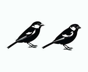 Obraz premium Sparrow Bird Silhouette Collection Vector Template Illustration