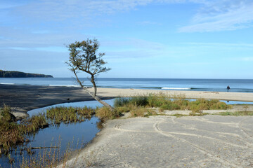 The Baltic Sea coast near Zelenogradsk, Kaliningrad region