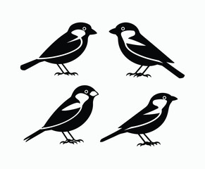 Fototapeta premium Sparrow Bird Silhouette Isolated Template