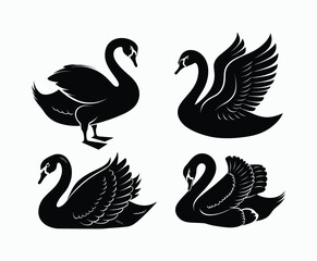Obraz premium Elegant Swan Silhouette EPS Vector Template on a White Background