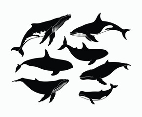 Obraz premium Simple Whale Silhouette EPS Template on a White Background