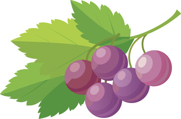 Fototapeta premium A vibrant, high-quality vector art illustration showcasing delicious, ripe currants with rich colors and detail, perfect for culinary or botanical themes.