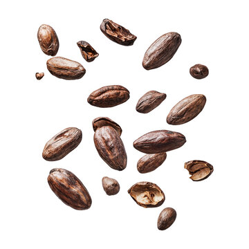 Falling cacao beans isolated on transparent background