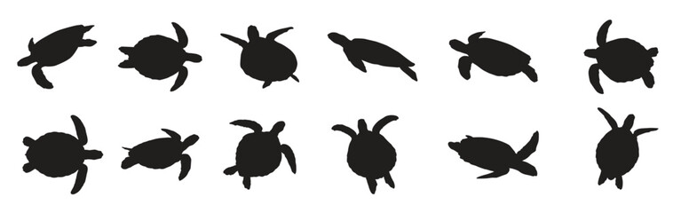 Collection of animal Turtle Silhouette in different poses