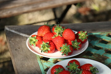 須金フルーツパーク、いちご狩り、グランピング、山口県