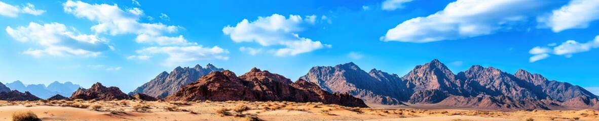 desert ecosystem with arid weather in a natural dirt landscape
