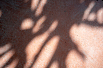 Intriguing shadows on a surface