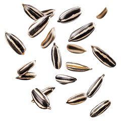 Falling sunflower seeds isolated on transparent background