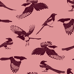 Seamless pattern with magpie, flying bird. Hand drawn vector illustration.