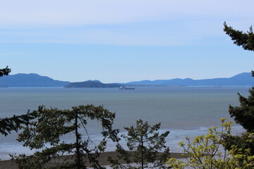 Samish Bay view through trees from View Point, Bow 