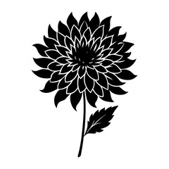 
Silhouette of a chrysanthemum flower with leaves vector illustration