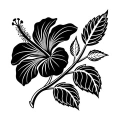  Silhouette of a hibiscus flower with leaves vector illustration © Rabea