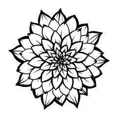 
Line art of a chrysanthemum flower with leaves vector illustration