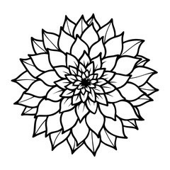 
Line art of a chrysanthemum flower with leaves vector illustration