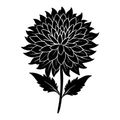 
Silhouette of a chrysanthemum flower with leaves  vector illustration