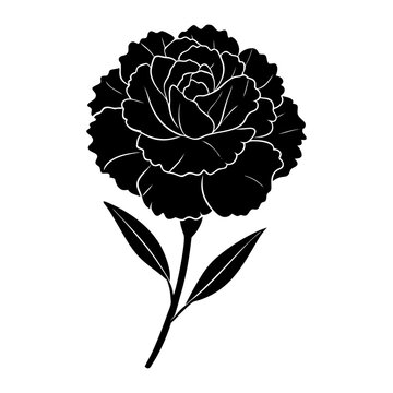 black carnation flower silhouette on white clip art preview